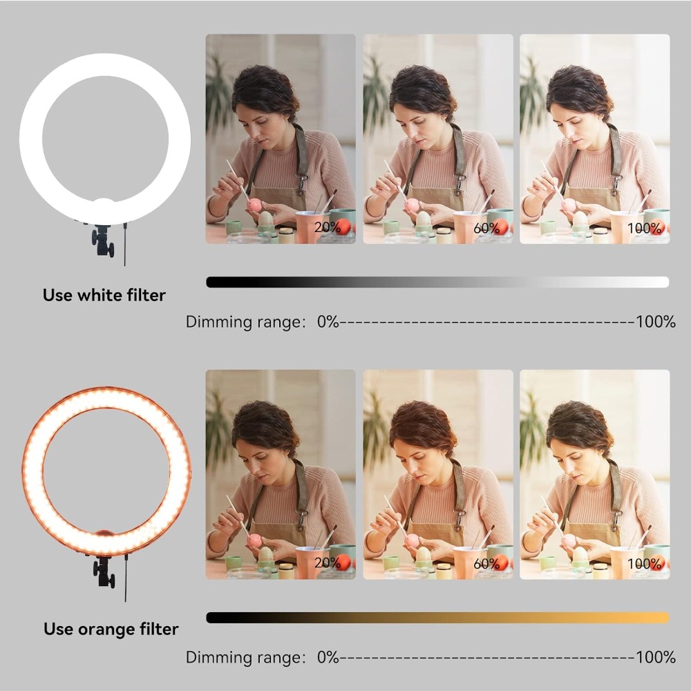 18-Inch 55W Ring Light with 24 - Photography Lighting Reference 评论和价格